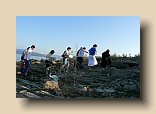 P1100782 (Medium)